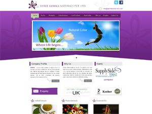Herbal Extracts Web Design Services in Mumbai