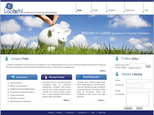 Insurance & Investment Website Designing Companies in Mumbai
